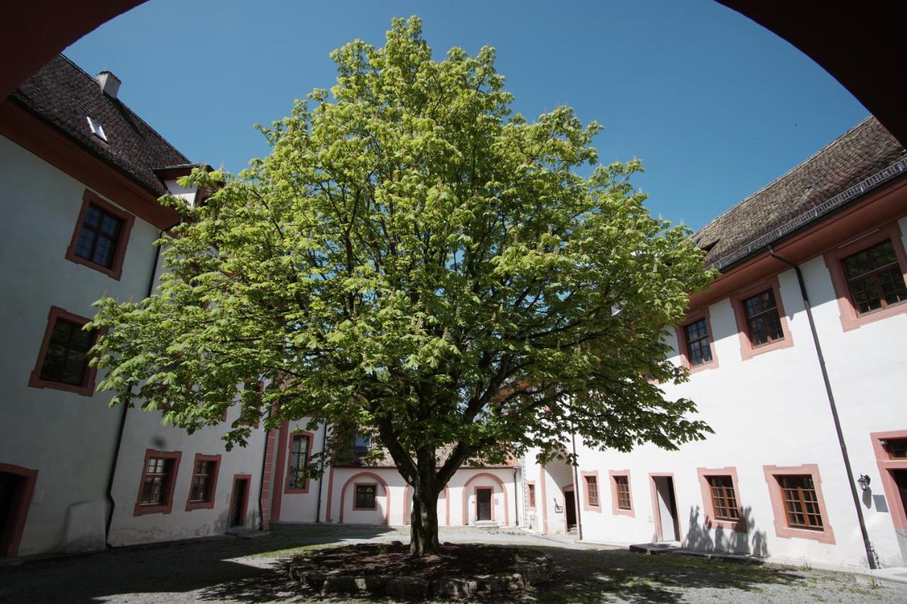 Hotel & Tagungszentrum Schloss Hohenfels Hohenfels  المظهر الخارجي الصورة