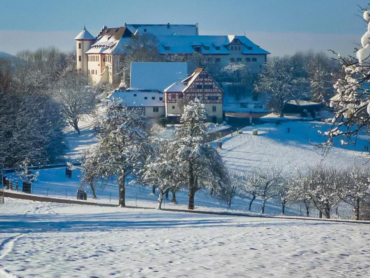 Hotel & Tagungszentrum Schloss Hohenfels Hohenfels  المظهر الخارجي الصورة