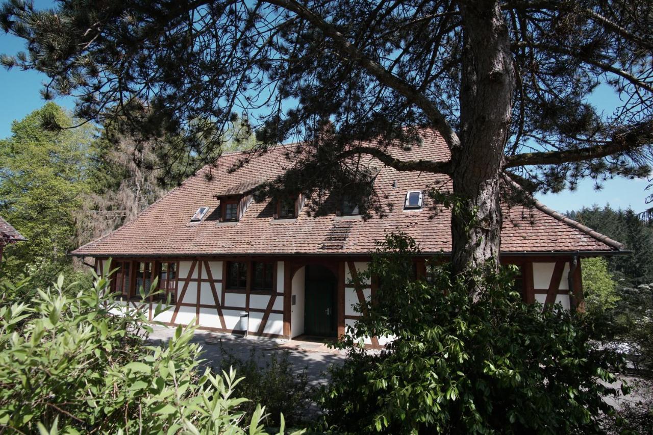 Hotel & Tagungszentrum Schloss Hohenfels Hohenfels  المظهر الخارجي الصورة